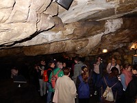 Beatus caves