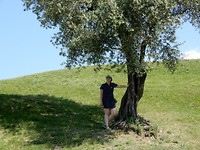 DSCN2608 - kopie