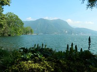 DSCN6785 - kopie