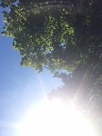 IMG_1654