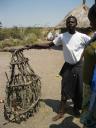 De traditional healer