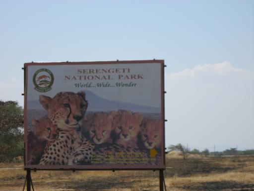 De serengeti!