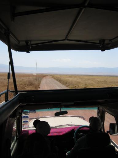 De safari-auto