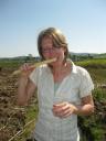 suiker riet kauwen op de shamba
