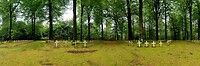 Begraafplaats WO1