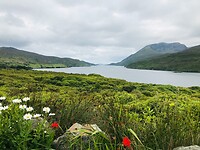 IMG-20240716-WA0006