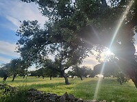 20250507_200004