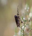 IMG_6467