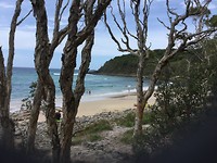 Noosa heads