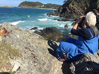 Seal rocks, no seals, wel dolfijnen