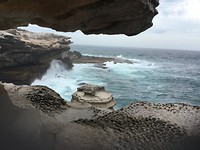 la perouse