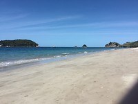 Hahei beach