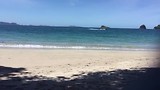 Hahei beach