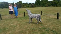 Blaffende honden