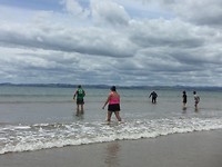 De hunt for tuatua,s