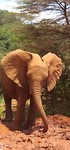 IMG-20191002-WA0058