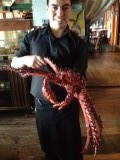 Enorme grote King Crab