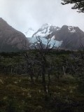 Gletscher en Fitz Roy 3