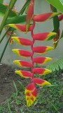 20160121_101040