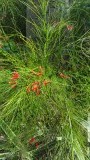 20160121_110521