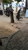 20160122_112506