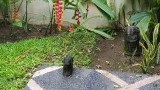 20160128_091413