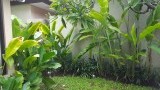 20160128_091454