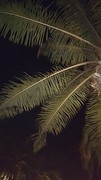20160129_200115