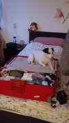 20160130_173401