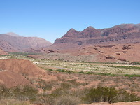 Cafayate