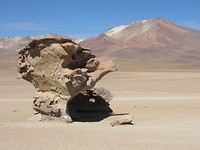 Stone tree