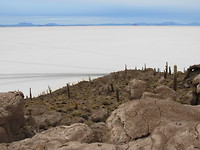 Incahuasi island