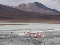 Laguna Chearcota