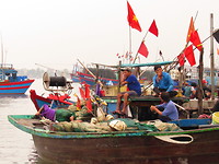 Fishmarket om 6 am in Hoi An