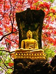 Luang Prabang in Laos