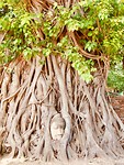 Ayuthaya