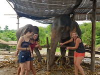 In Chiang Mai