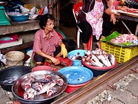 Trainmarket