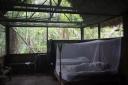Lodge, onze cabbin