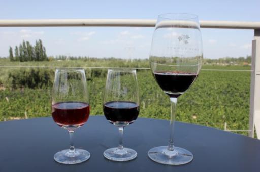 Bodega Tempus Alba