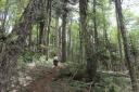 National park II