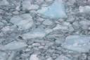 Perito Moreno I