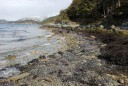 Tierra del Fuego, mosselen-550
