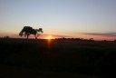 Zonsondergang onderweg-550