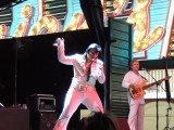 Nen nagemaakte Elvis