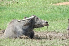 DSCN3772