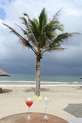 DSCN3820