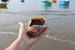 Wonderbare visvangst