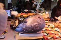 TONIJN