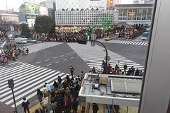 Shibuja crossing